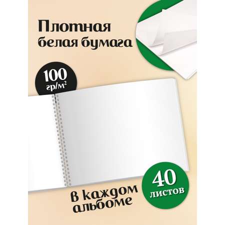 Альбом для рисования ШКОЛЬНЫЙ МИР на спирали А4 2 шт