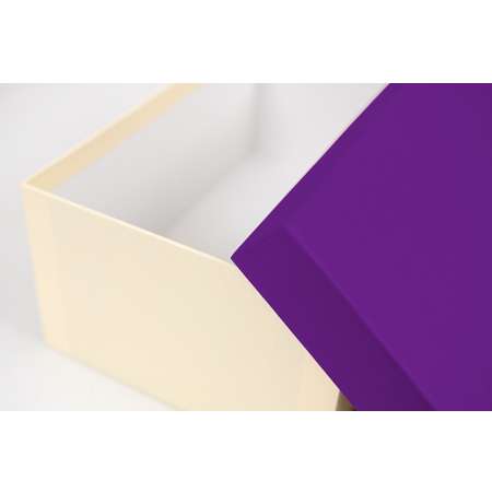 Набор подарочных коробок Cartonnage 10 в 1 Радуга фиолетовый бежевый
