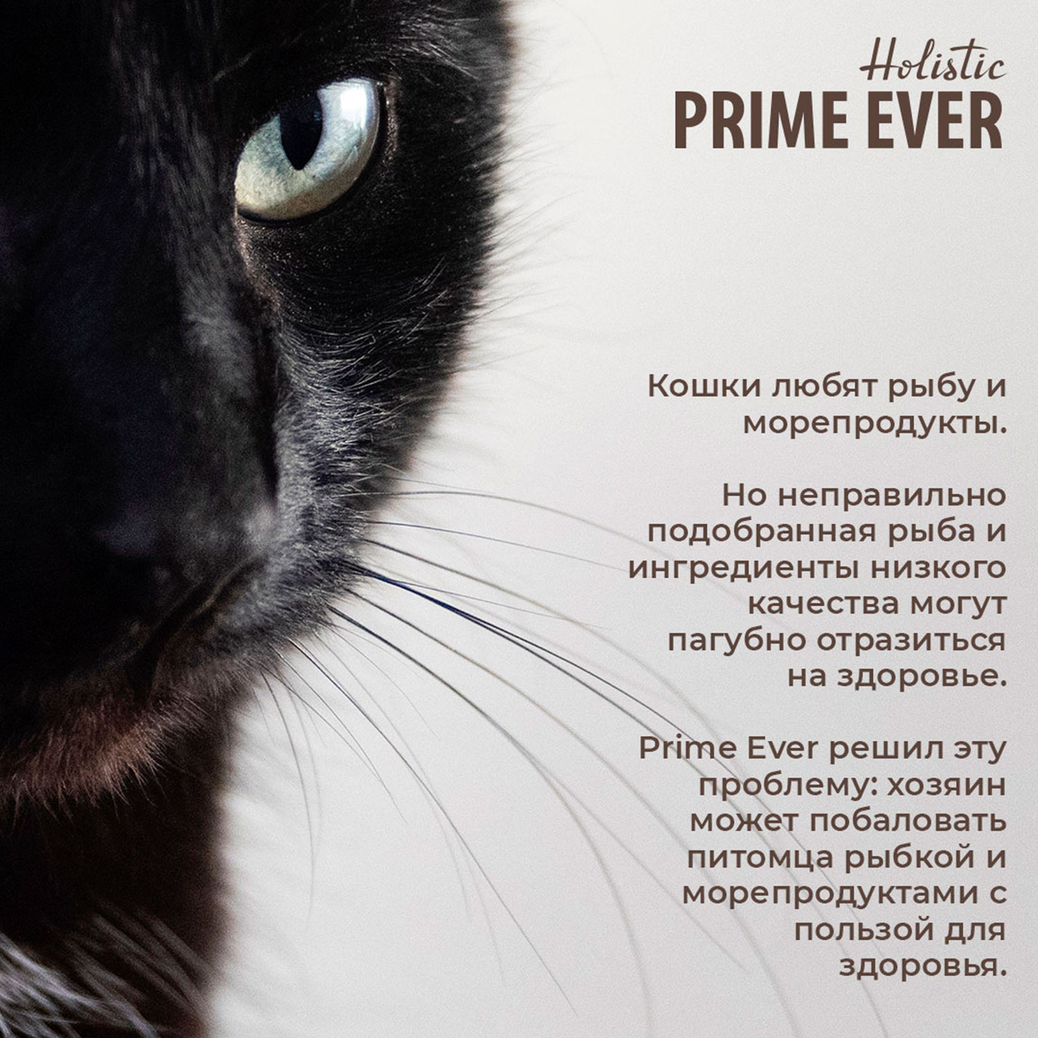 Влажный корм для кошек Prime Ever 0.08 кг курица, креветки (для привередливых) - фото 5