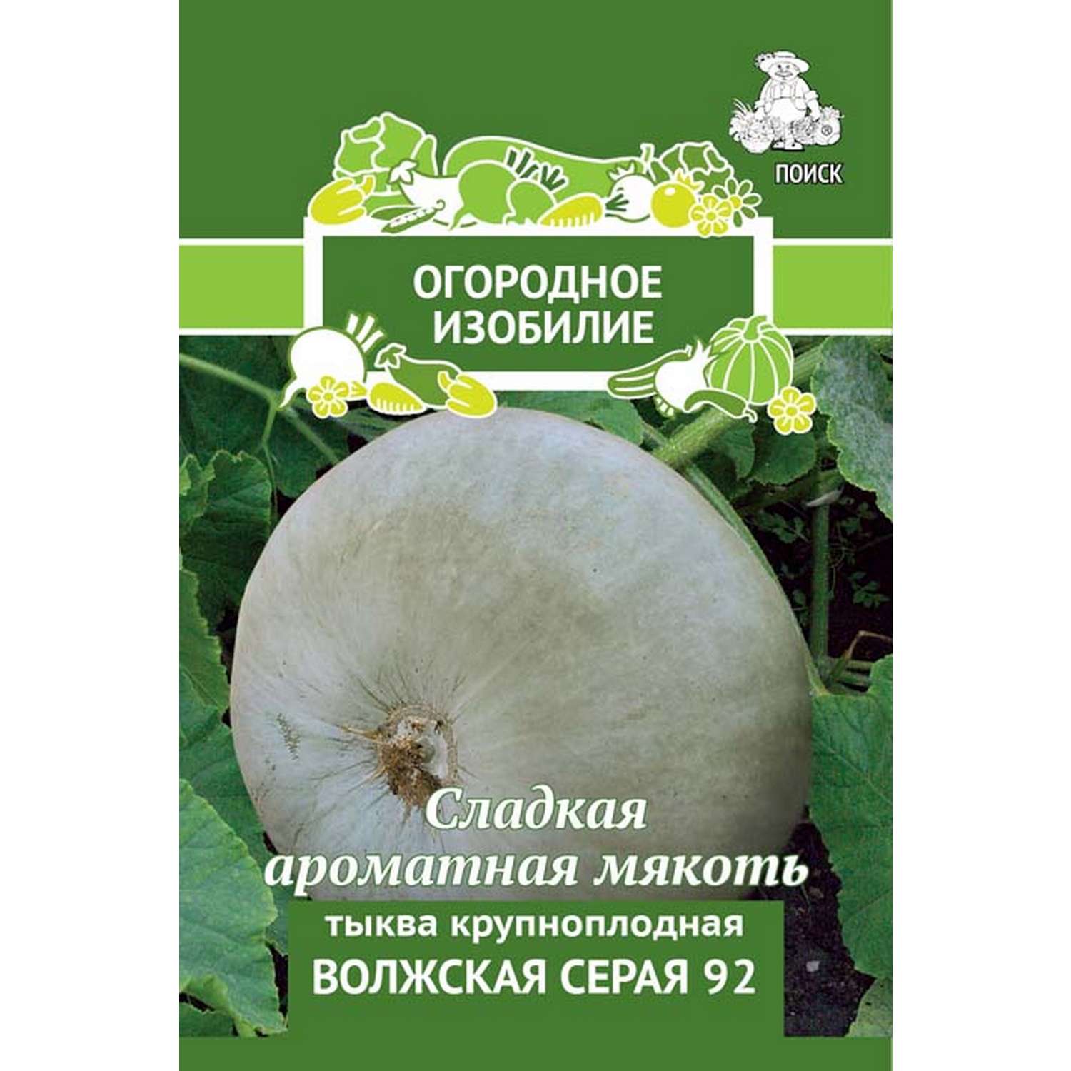 Тыква крупноплодная Волжская серая 92 (Огородное изобилие) 2г - фото 2