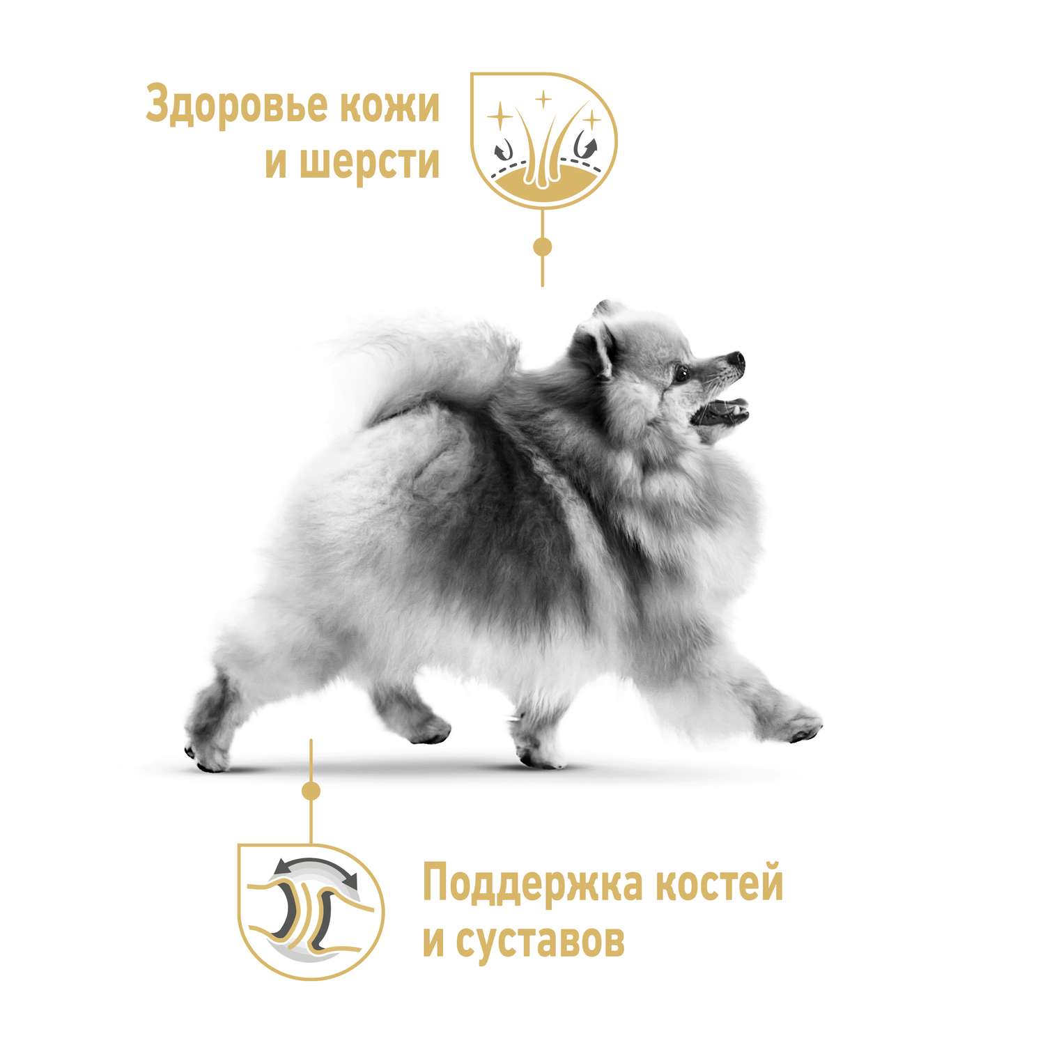 Корм для собак ROYAL CANIN породы померанский шпиц 1.5кг - фото 7