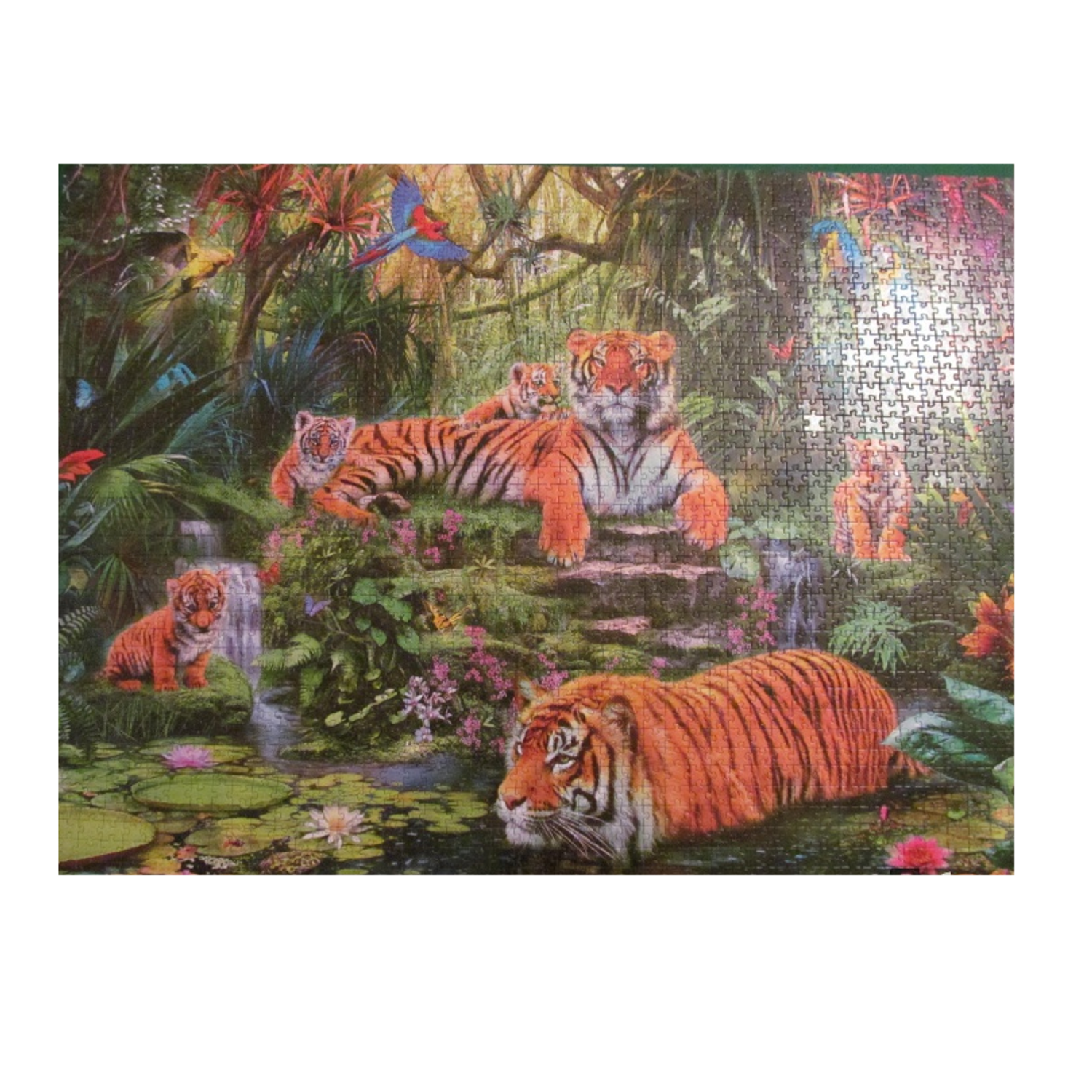 Пазл Step Puzzle В джунглях Тигры 2000 элементов 84020 - фото 3
