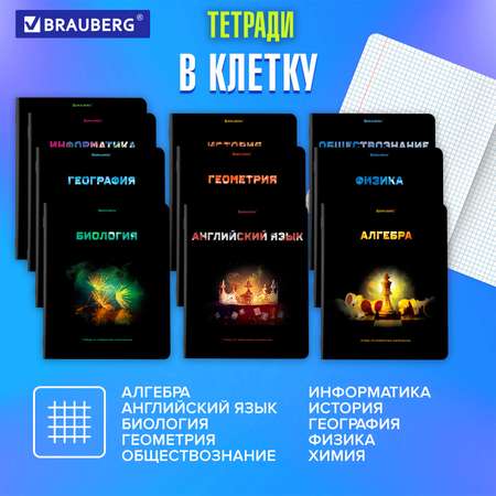 Тетради Brauberg школьные со справочным материалом в клетку/линейку 12 предметов 48 л Shade