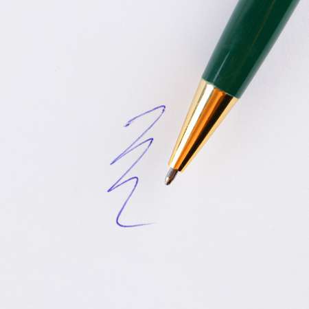 Ручка металлическая Mr. PRESIDENT PUTIN TEAM шариковая Природа лучший художник РОССИИ Синяя паста 1 мм