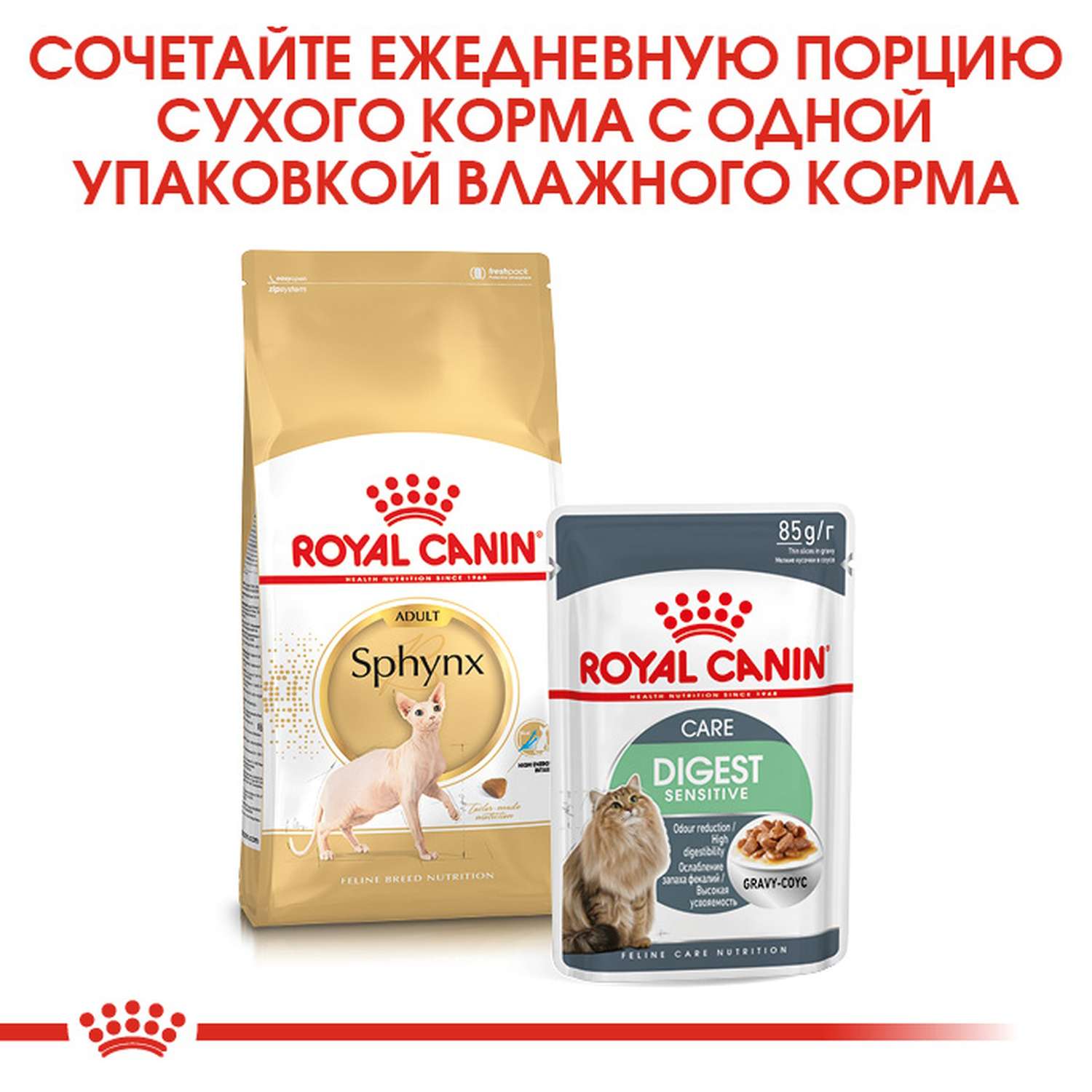 Корм сухой для кошек ROYAL CANIN Sphynx 2кг породы сфинк - фото 8