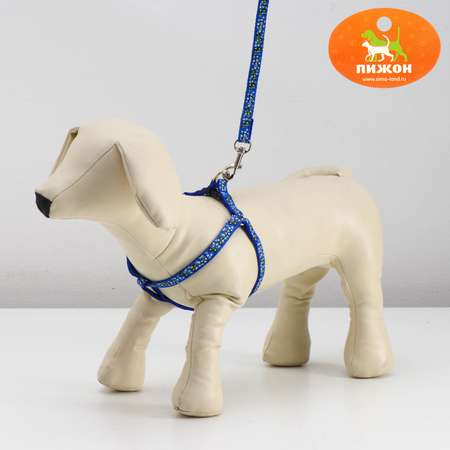 Комплект для собаки Пижон «Звёздные косточки» поводок 120 см шлейка 23-35 см синий