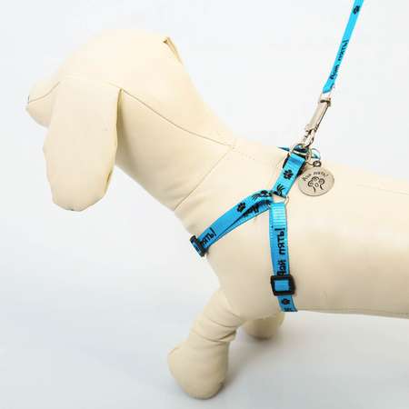 Комплект для собаки Пушистое счастье «Дай пять!» шлейка 28-47 см поводок 120 см