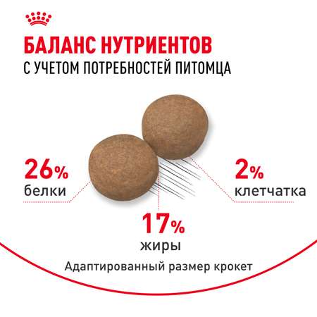 Корм для собак ROYAL CANIN крупных пород 26-44кг 3кг