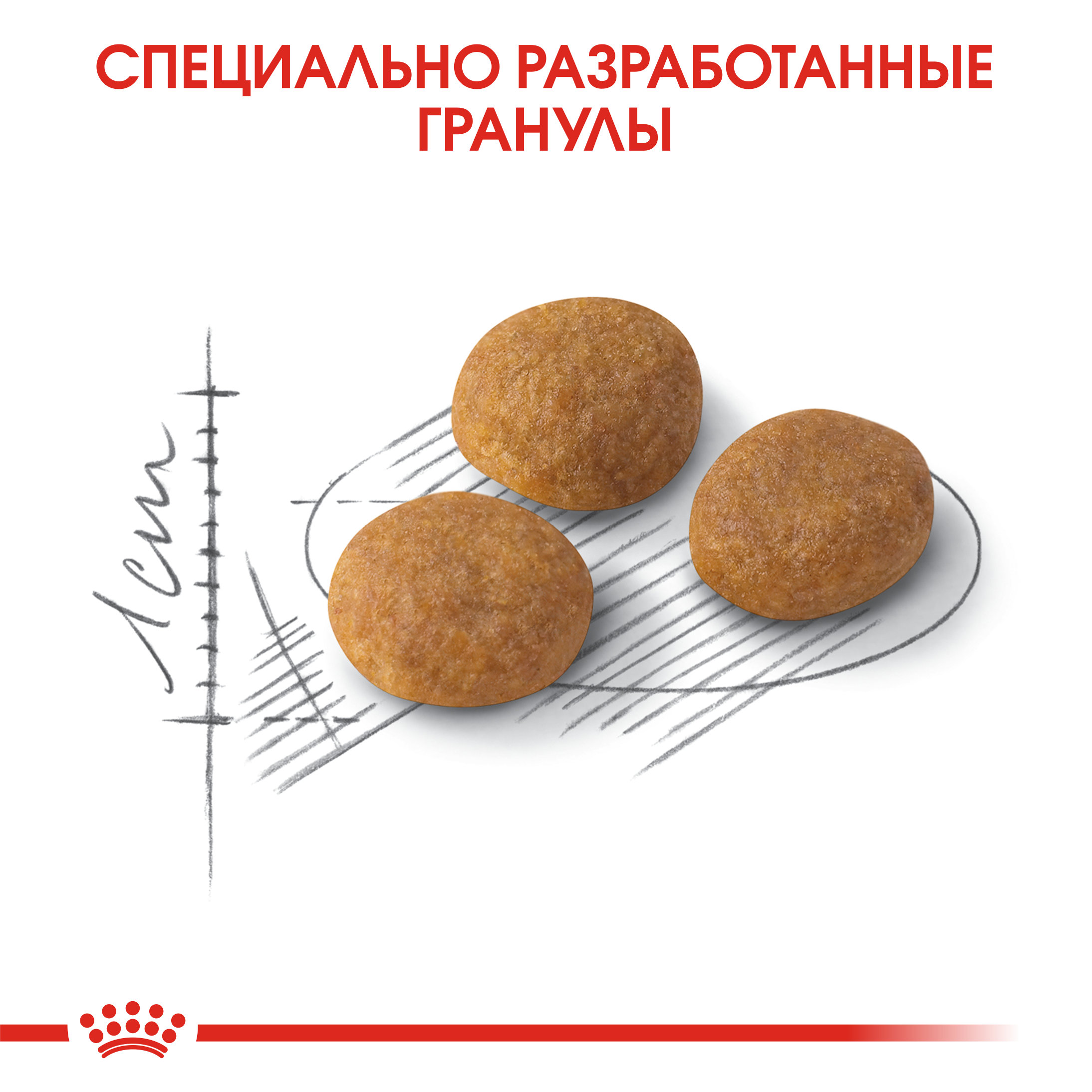 Корм сухой для кошек ROYAL CANIN Aroma Exigent 4кг привередливых к аромату продукта - фото 5