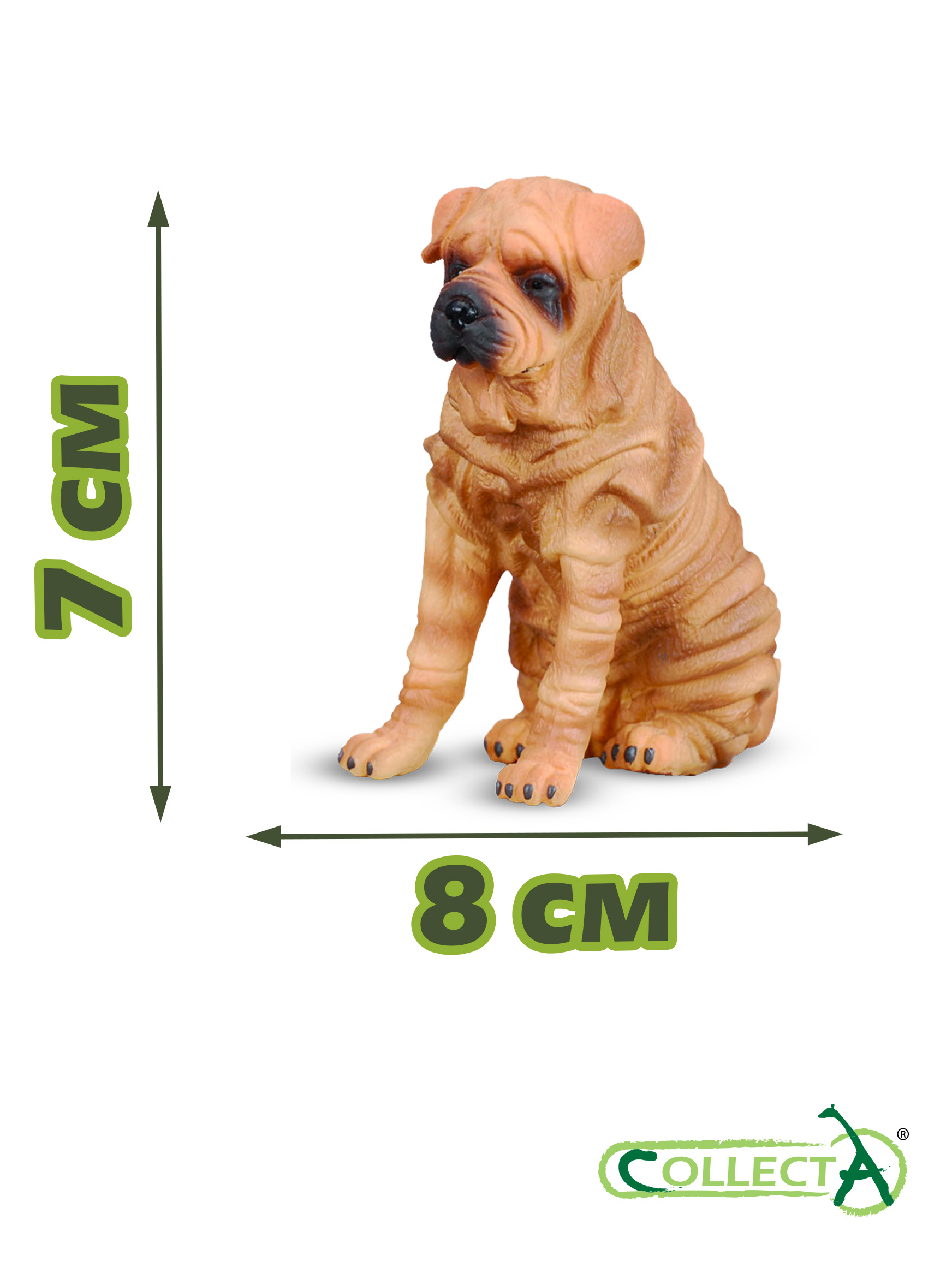 COLLECTA Shar Pei Figure