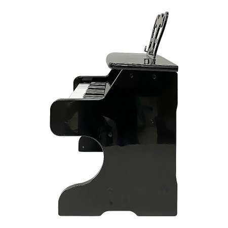 Детский центр-пианино EVERFLO Keys HS0373021 black