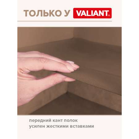 Кофр подвесной для хранения VALIANT 4 секции 30*30*84 см