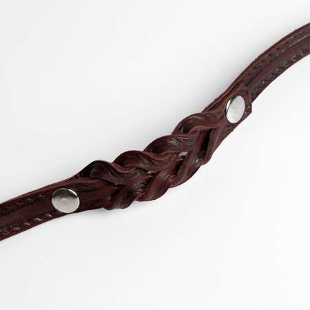 Поводок Пижон кожаный однослойный тиснёный удлиненный 2 м х 1.6 см коричневый