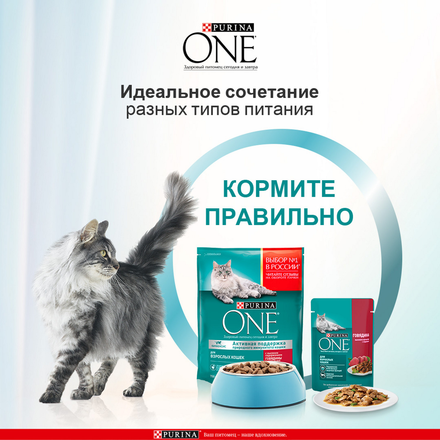 Сухой корм для кошек Purina One 0.18 кг курица (для домашних, полнорационный) - фото 5