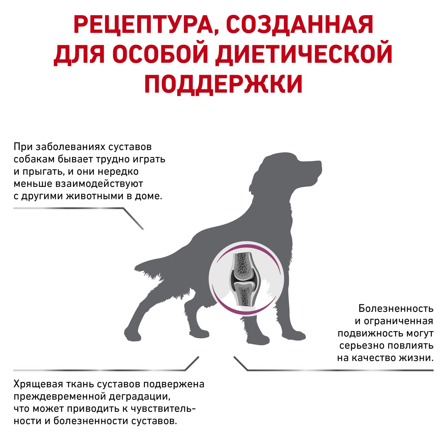 Корм для собак ROYAL CANIN Mobility c2p+ при заболеваниях oпорно-двигательного aппарата 12кг - фото 3