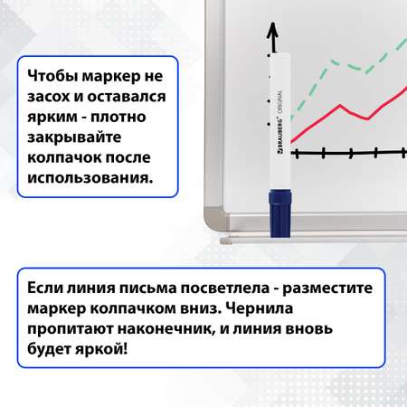 Маркеры Brauberg стираемые для белой доски набор 4 цвета Original 3 мм