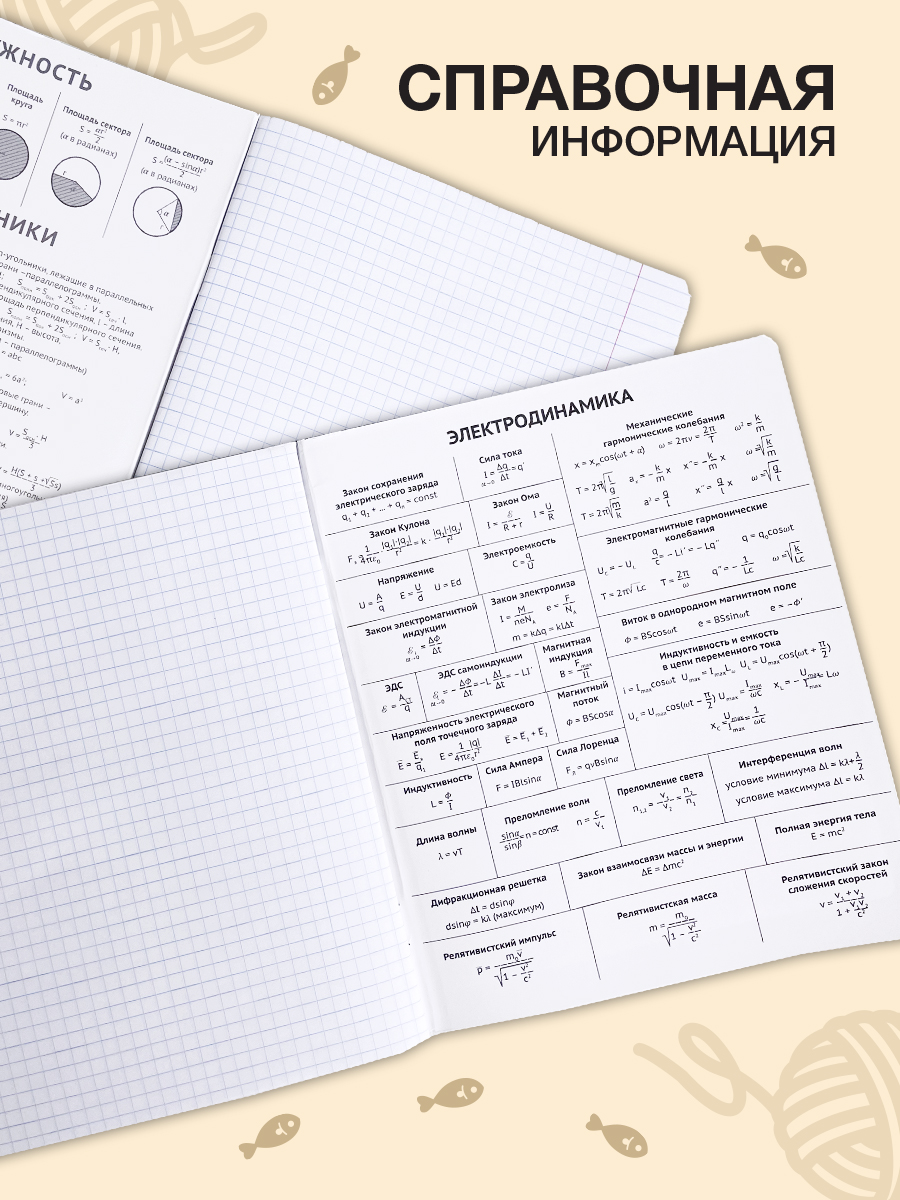 Комплект тетрадей SCHOOLFORMAT предметных 48 листов А5 Котики 10 штук - фото 4