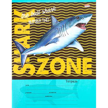 Набор тетрадей Prof-Press клетка Территория акул 24 листа 10 штук