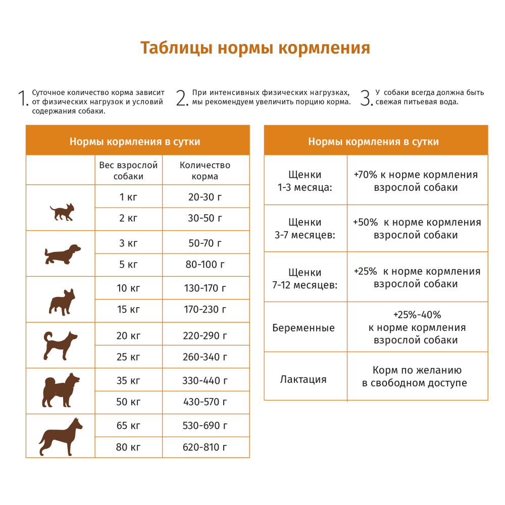 Корм сухой Будь здоров с индейкой для пожилых собак кастрированных 10000 гр. крупная гранула - фото 3