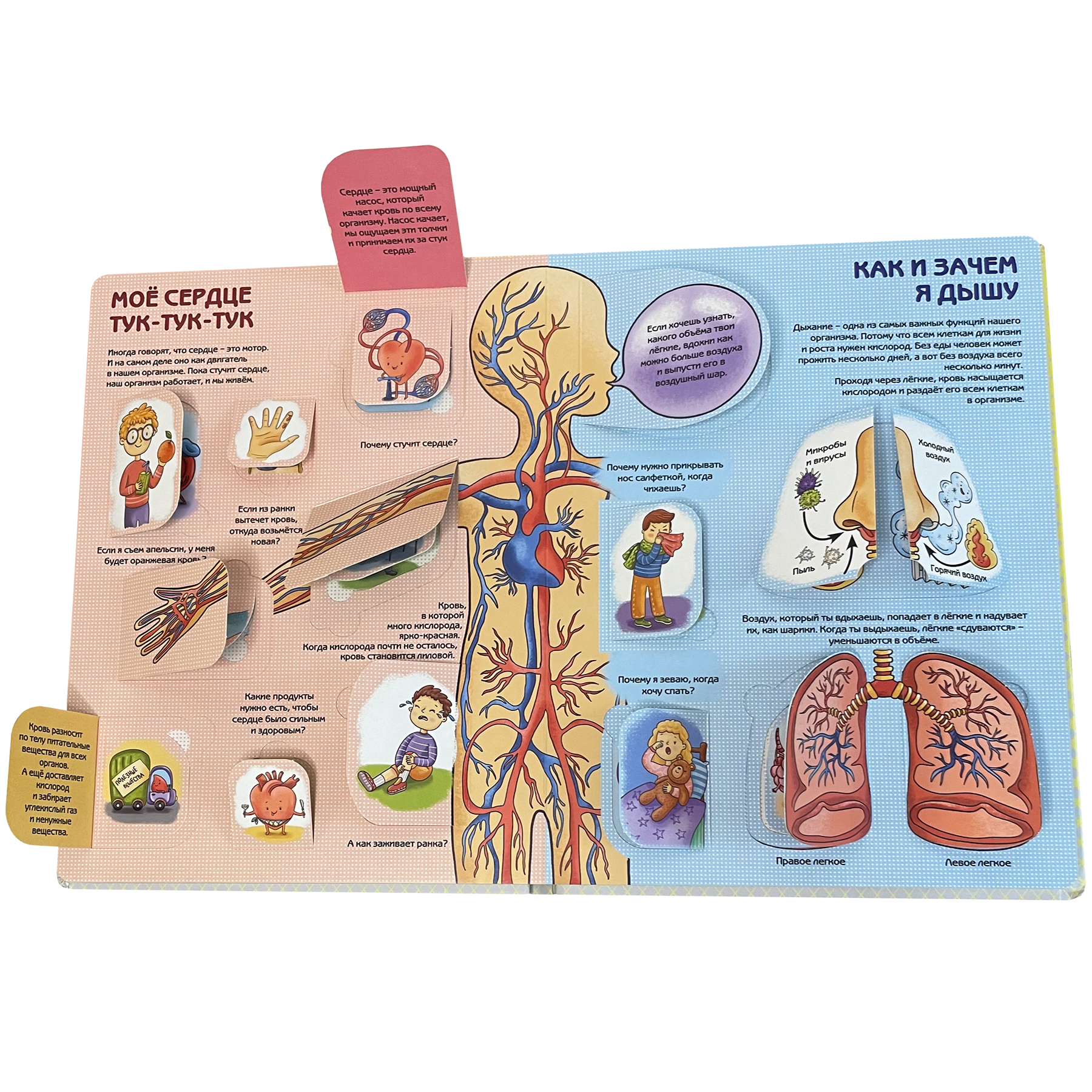 Детские книги с окошками BimBiMon Набор энциклопедий про тело человека и водный мир - фото 8
