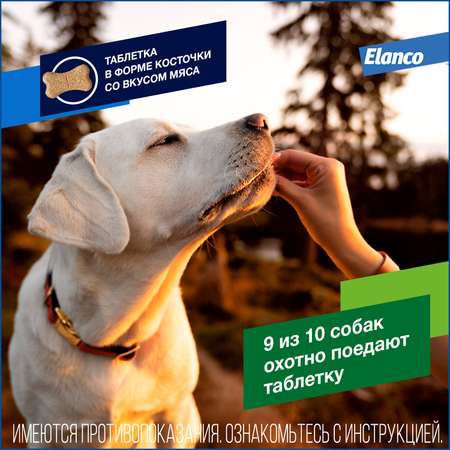 Таблетки для собак Elanco Дронтал плюс против глистов XL 2таблетки