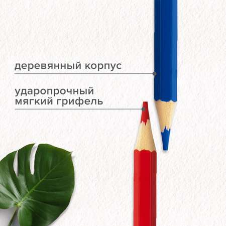 Карандаши цветные Brauberg 72 шт.