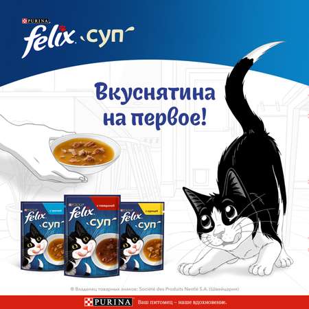 Корм влажный для кошек Felix 48г суп курица