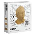 Конструктор QBRIX 3D картонный Эйнштейн 20002
