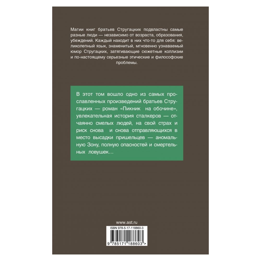 Книга АСТ Пикник на обочине купить по цене 493 ₽ в интернет-магазине  Детский мир