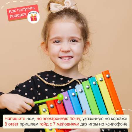 Ксилофон цветные ступеньки Алатойс 10 планок + гайд с играми