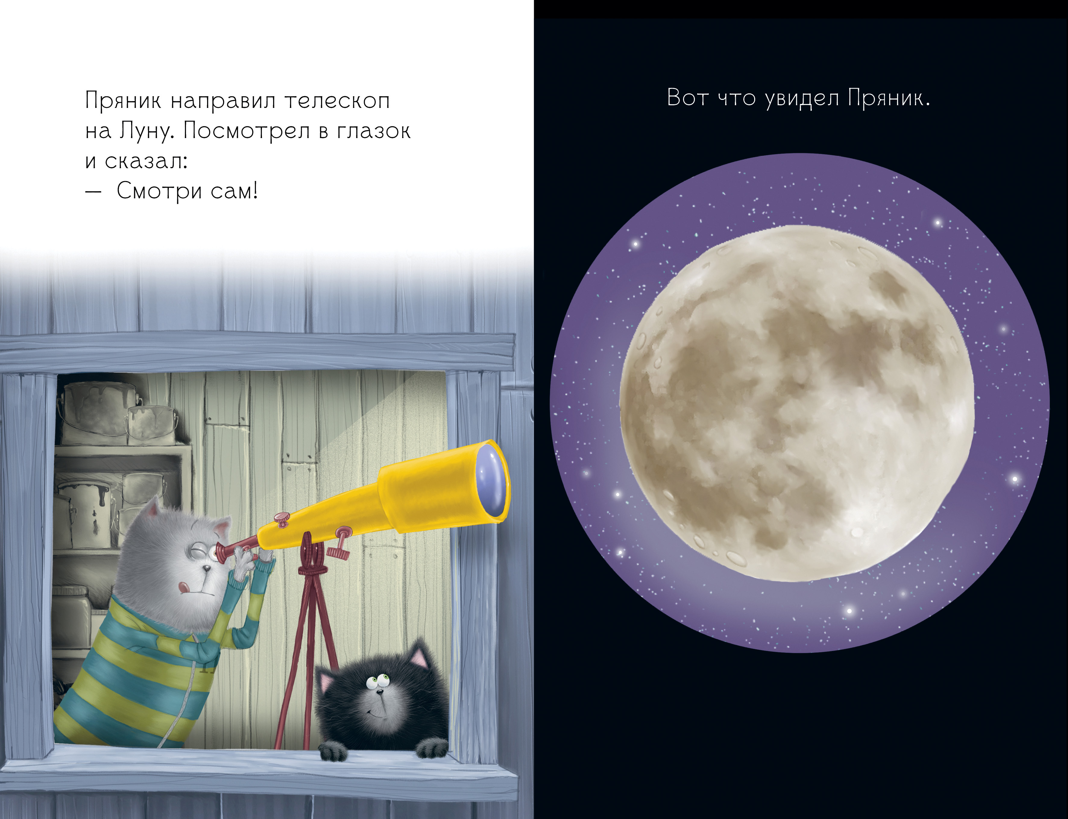 Книжка-картинка Clever Котенок Шмяк и лунный кот мягкая обложка - фото 3