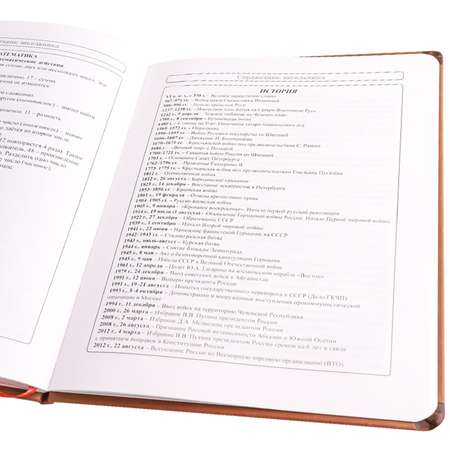Дневник школьный Prof-Press Ти-Рекс велосипедист 48 листов универсальный коричневый