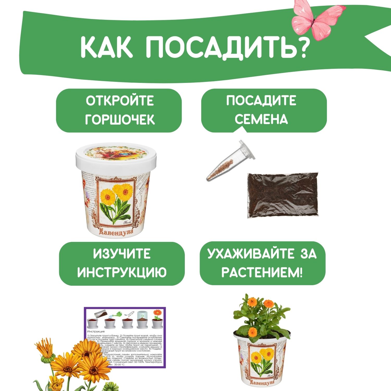 Набор для выращивания растений Rostok Visa Вырасти сам Календулу в подарочном горшке - фото 4