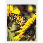 Картина по номерам 50х40 Selfica Жёлто-чёрная бабочка