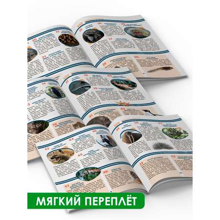 Книга Проф-Пресс Лучшая детская энциклопедия 96 стр мягкая обложка 500 вопросов и ответов