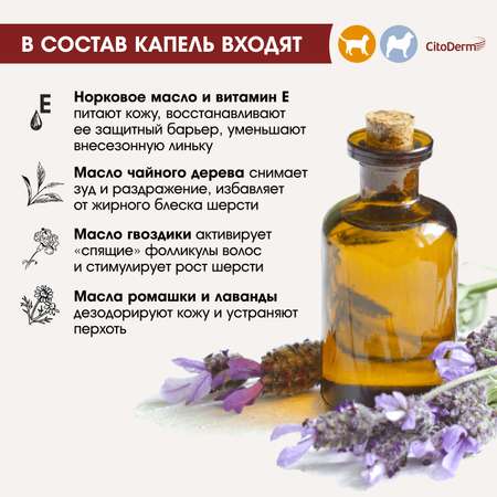 Капли для кошек и собак CitoDerm до 10кг дерматологические 1мл