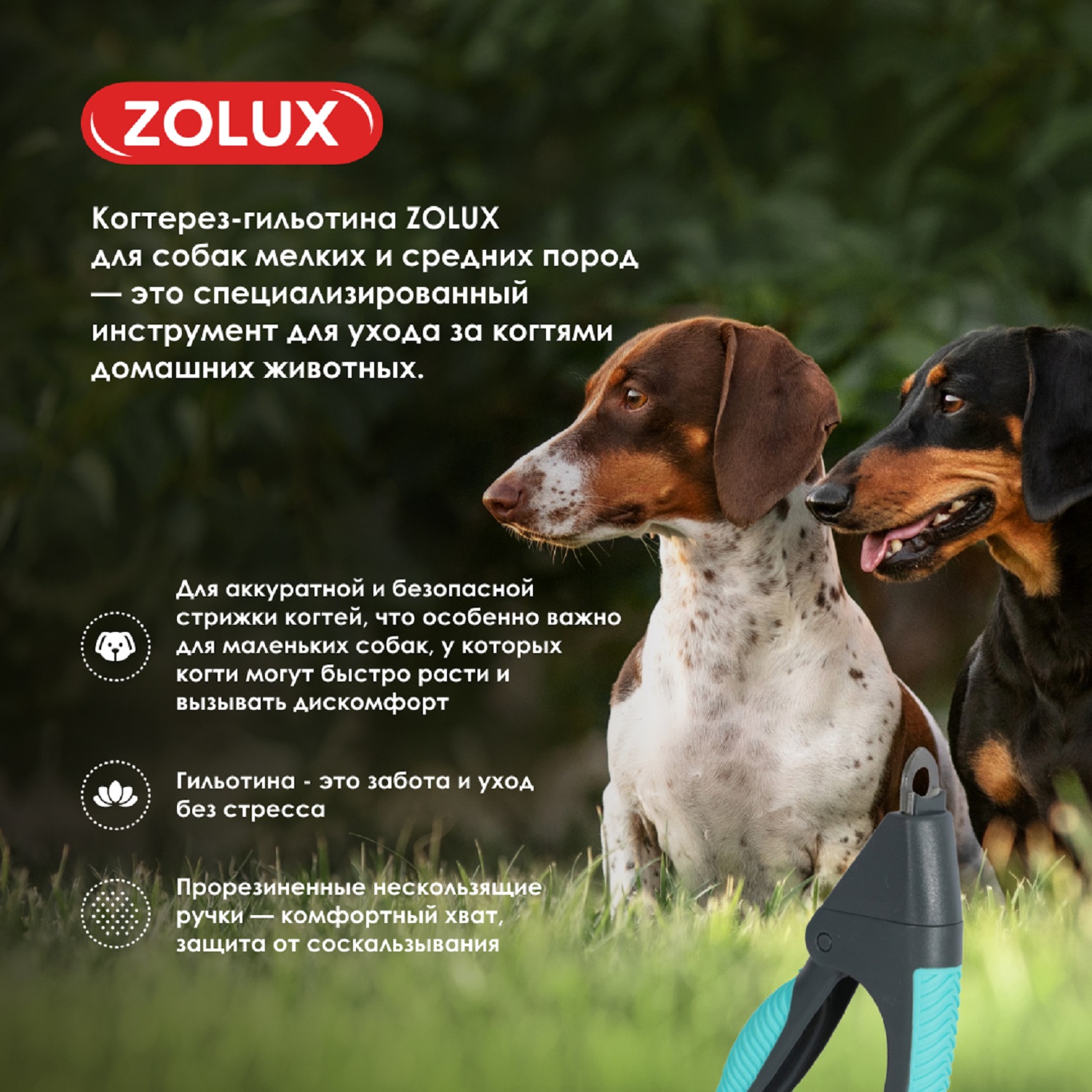Когтерез-гильотина для собак Zolux для подрезания когтей S - фото 3