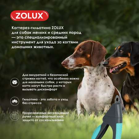 Когтерез-гильотина для собак Zolux для подрезания когтей S