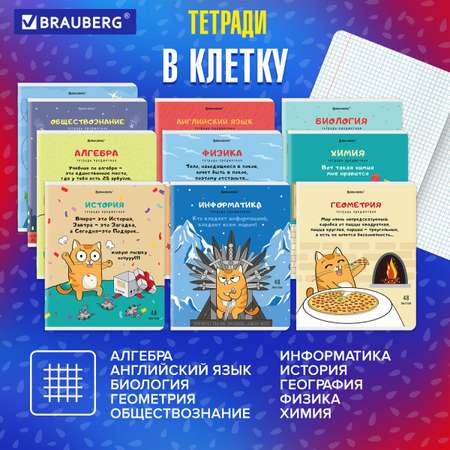 Тетрадь Brauberg 48 лист. 12 шт.