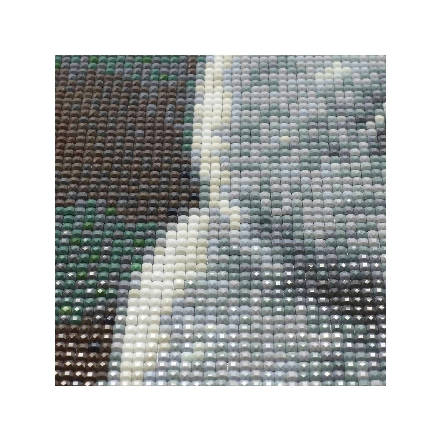 Алмазная мозаика Cristyle картина стразами Британский кот 30х40 см Cr 340026 - фото 6