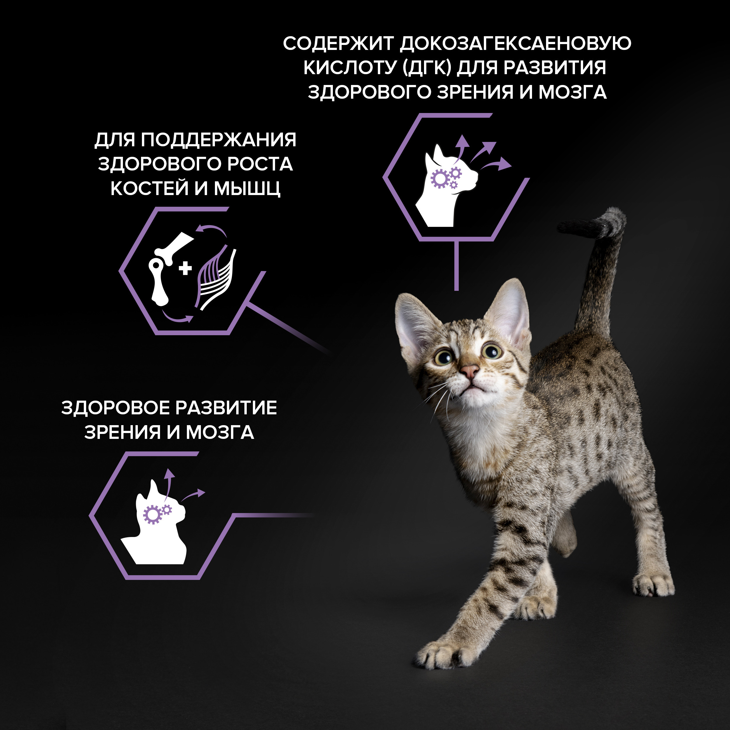 Корм сухой для котят PRO PLAN 3кг с курицей - фото 4