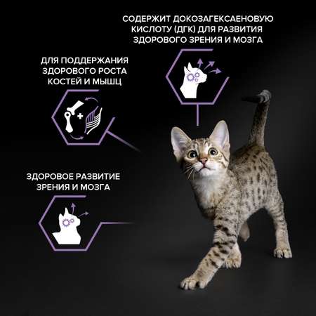 Корм сухой для котят PRO PLAN 3кг с курицей