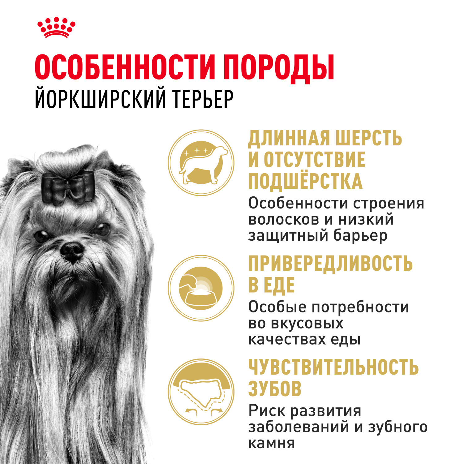 Корм для собак ROYAL CANIN породы йоркширский терьер 3кг - фото 3