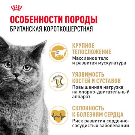 Корм сухой для кошек ROYAL CANIN British Shorthair 10кг британской короткошерстной породы