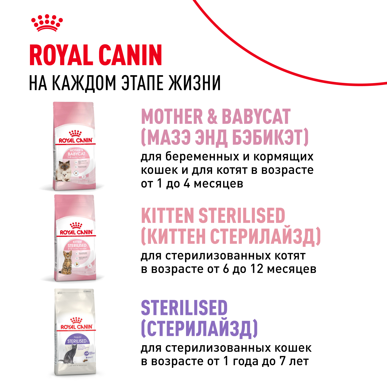 Корм сухой для котят ROYAL CANIN Kitten 2кг - фото 11