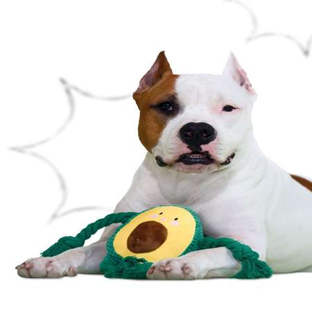 Игрушка для собак Mr.Kranch Авокадо плюшевая с канатиками и пищалкой 13.5см