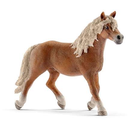 Фигурка SCHLEICH Жеребец Хафлингер 13813