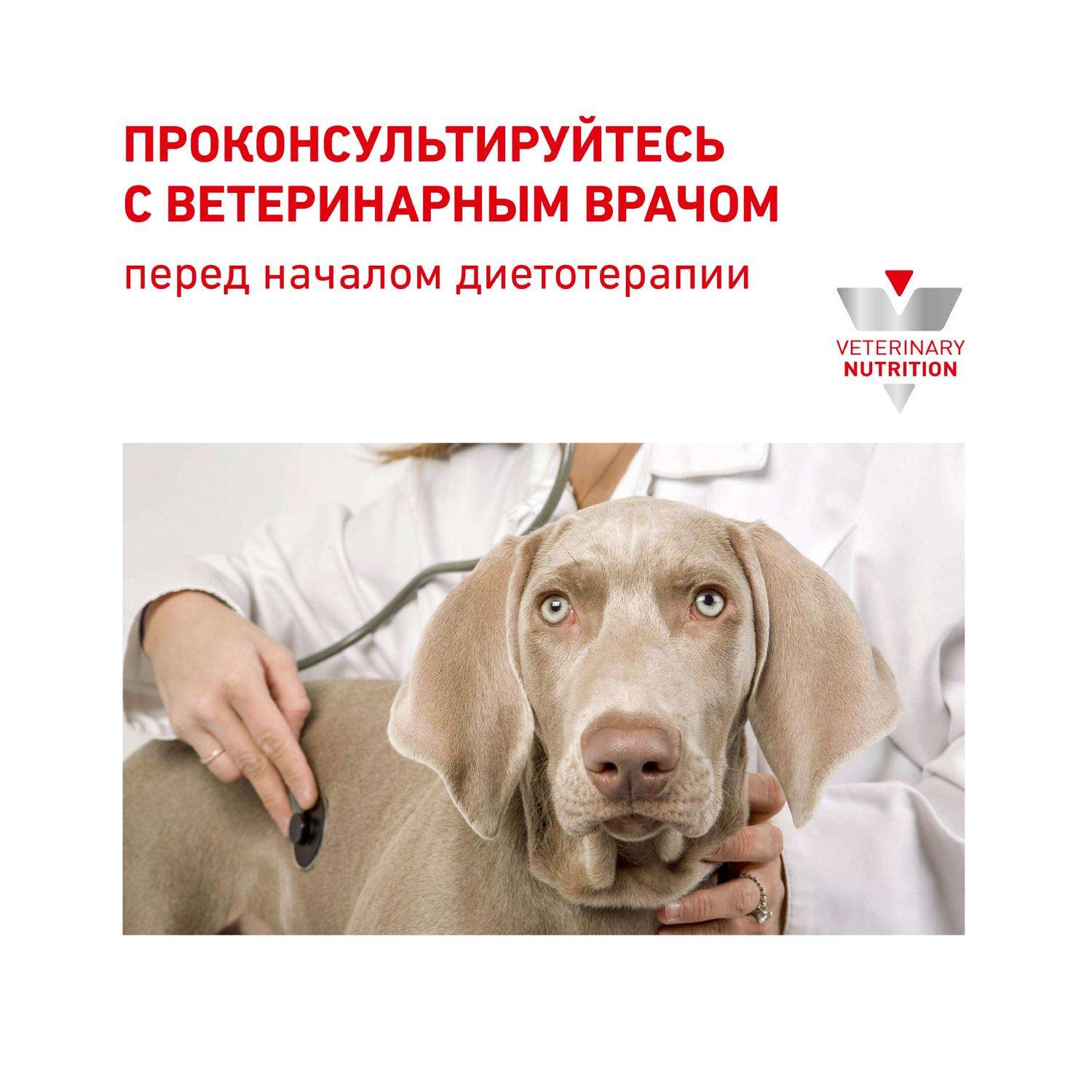 Корм для собак ROYAL CANIN Hypoallergenic HDS24 малых пород с пищевой аллергией 3.5кг - фото 8