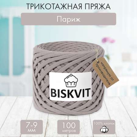 Трикотажная пряжа BISKVIT Париж