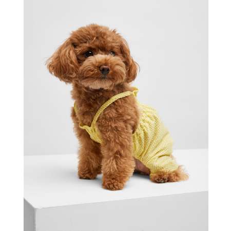 Одежда для собак купить в интернет-магазине собачью одежду